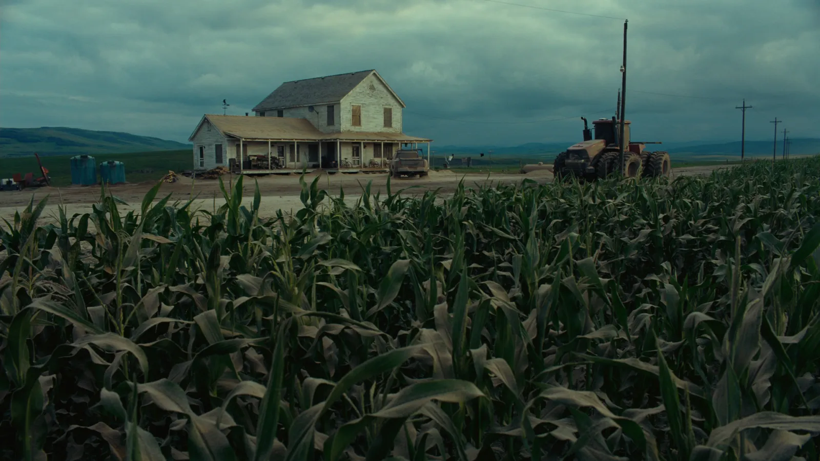 A farmhouse behind a tall cornfield under heavy grey cloud