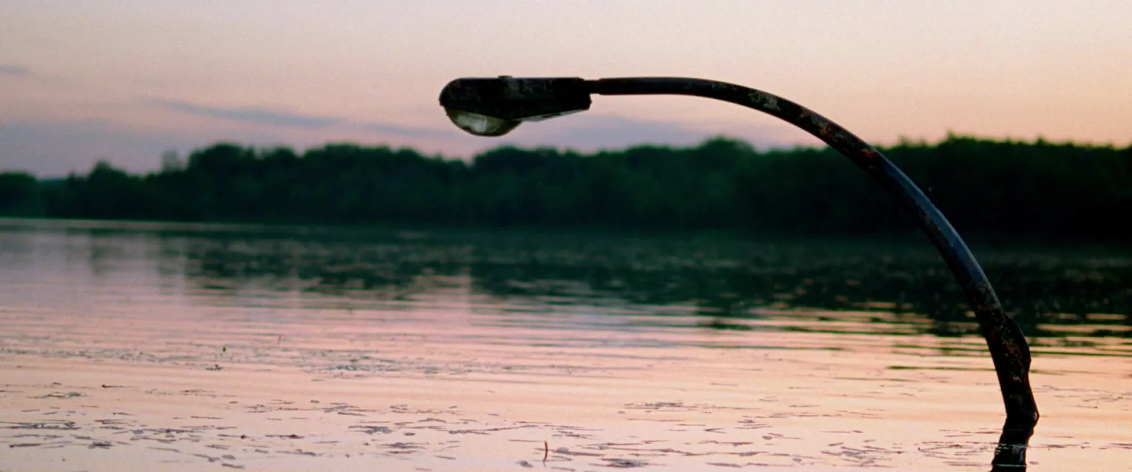 A street lamp rising out of a flooded lake at dusk under a pink sky
