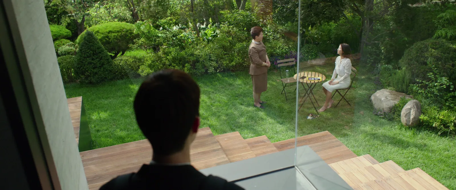 A lush green garden seen from inside a glass-walled house