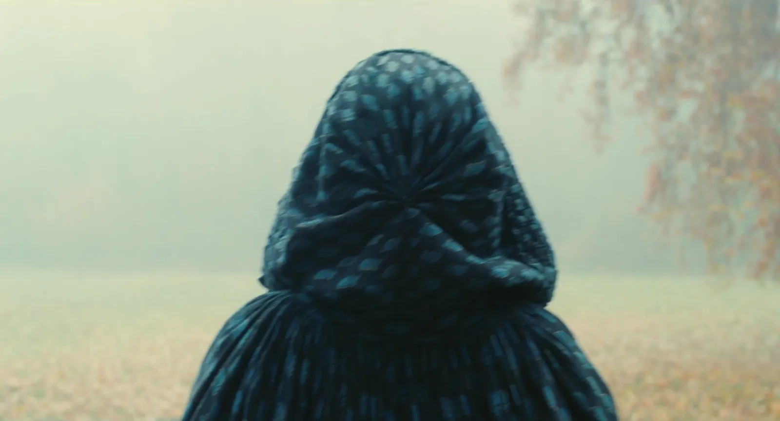 A figure in a blue hooded cape seen from behind, pale fog