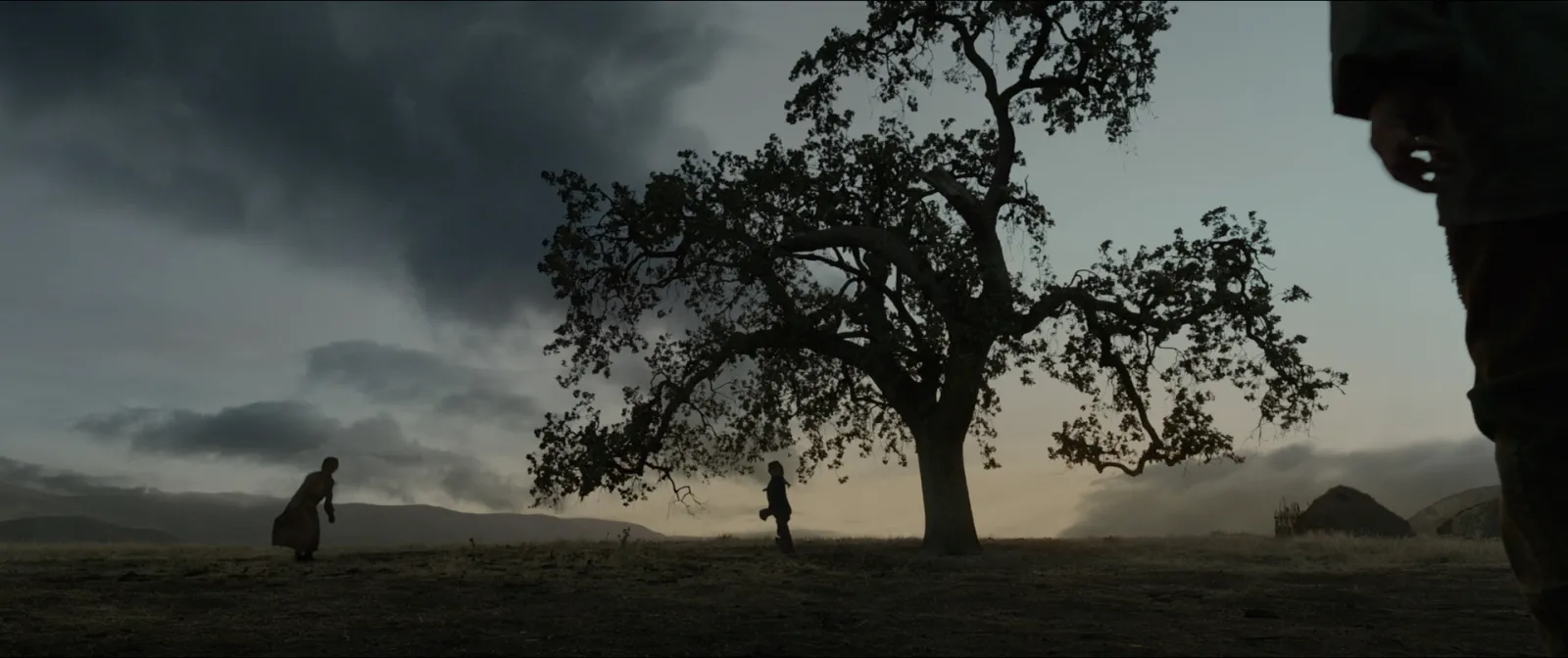 A lone tree on a hill under storm clouds